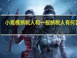 小规模纳税人和一般纳税人有何区别
