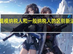 小规模纳税人和一般纳税人的区别新法规2023（小规模纳税人和一般纳税人的区别在哪几方面）