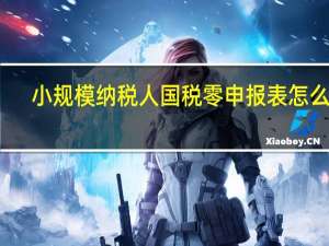 小规模纳税人国税零申报表怎么填
