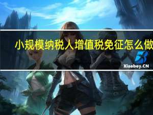小规模纳税人增值税免征怎么做账（小规模纳税人增值税免税会计分录）