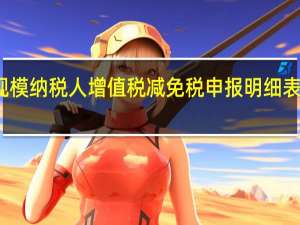 小规模纳税人增值税减免税申报明细表怎么填写