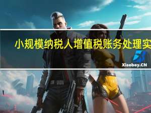 小规模纳税人增值税账务处理实操（最新小规模纳税人增值税账务处理）