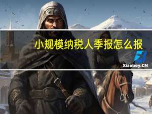 小规模纳税人季报怎么报