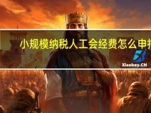 小规模纳税人工会经费怎么申报