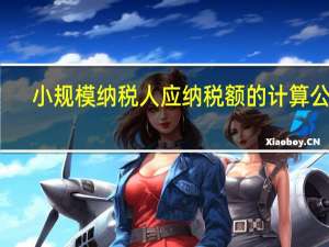 小规模纳税人应纳税额的计算公式