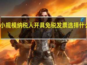 小规模纳税人开具免税发票选择什么税率？