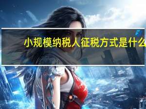 小规模纳税人征税方式是什么