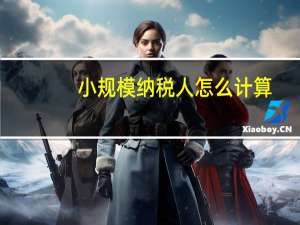 小规模纳税人怎么计算