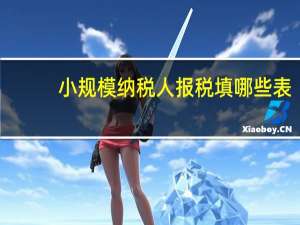 小规模纳税人报税填哪些表（小规模纳税人报税步骤）