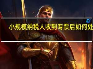 小规模纳税人收到专票后如何处理
