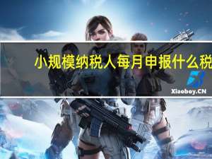 小规模纳税人每月申报什么税