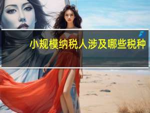 小规模纳税人涉及哪些税种