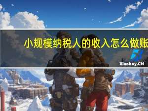 小规模纳税人的收入怎么做账