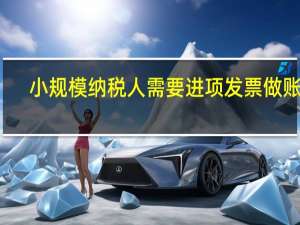 小规模纳税人需要进项发票做账吗