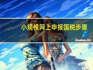 小规模网上申报国税步骤（小规模怎么在网上报税）