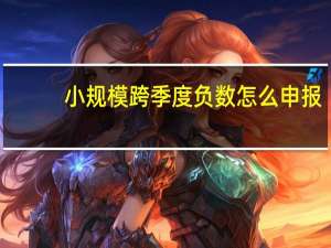 小规模跨季度负数怎么申报