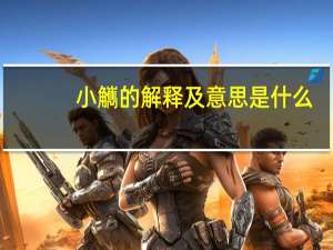 小觽的解释及意思是什么