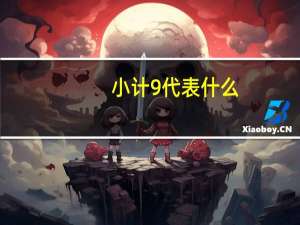 小计9代表什么