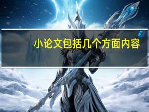 小论文包括几个方面内容