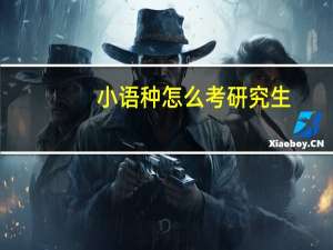 小语种怎么考研究生