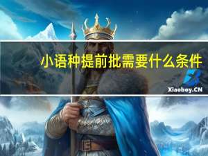小语种提前批需要什么条件