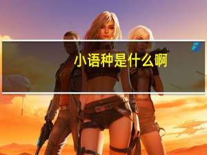 小语种是什么啊，都有什么语言