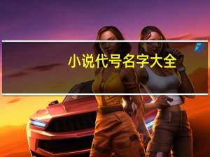 小说代号名字大全（代号名字大全）