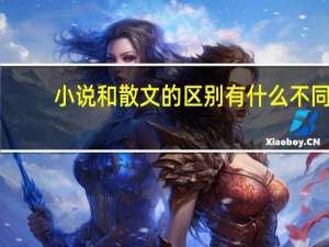 小说和散文的区别 有什么不同