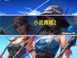 小说青城2（青城2简介）