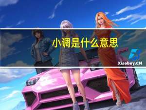 小调是什么意思