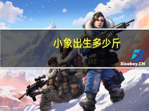 小象出生多少斤