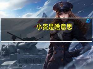 小资是啥意思