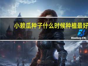 小赖瓜种子什么时候种植最好