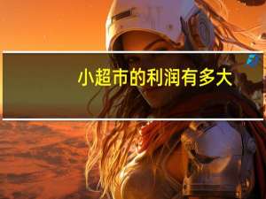 小超市的利润有多大（小超市的利润是多少）