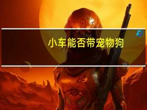 小车能否带宠物狗