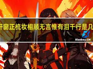 小轩窗正梳妆相顾无言惟有泪千行是几年级学的