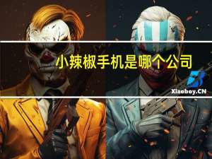 小辣椒手机是哪个公司（小辣椒手机是哪个公司答案 快吧手游）