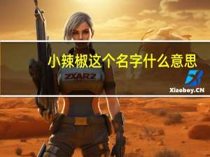 小辣椒这个名字什么意思