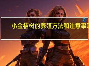 小金桔树的养殖方法和注意事项（小金桔）