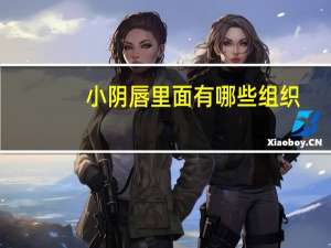 小阴唇里面有哪些组织，外阴的组成成分