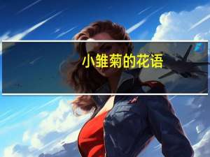 小雏菊的花语