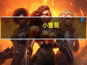 小雏菊（关于小雏菊的介绍）