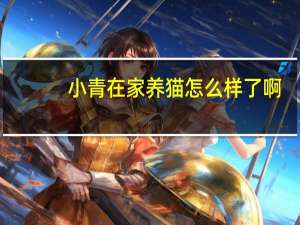 小青在家养猫怎么样了啊