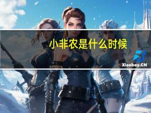 小非农是什么时候