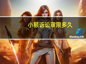小额诉讼审限多久