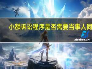 小额诉讼程序是否需要当事人同意