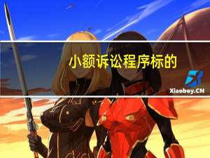小额诉讼程序标的