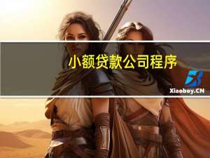 小额贷款公司程序
