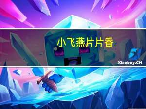 小飞燕 片片香(豆制品)的热量是多少