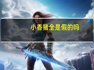小香猪全是假的吗